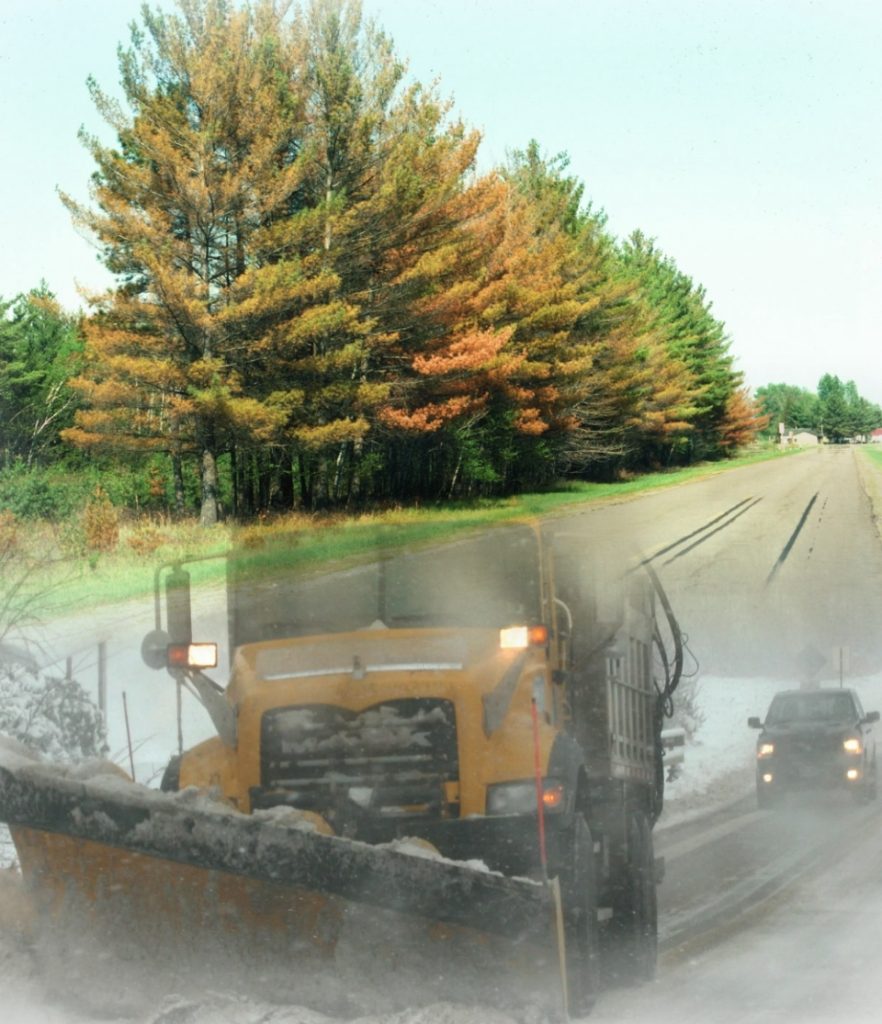 Salt truck and damaged trees.