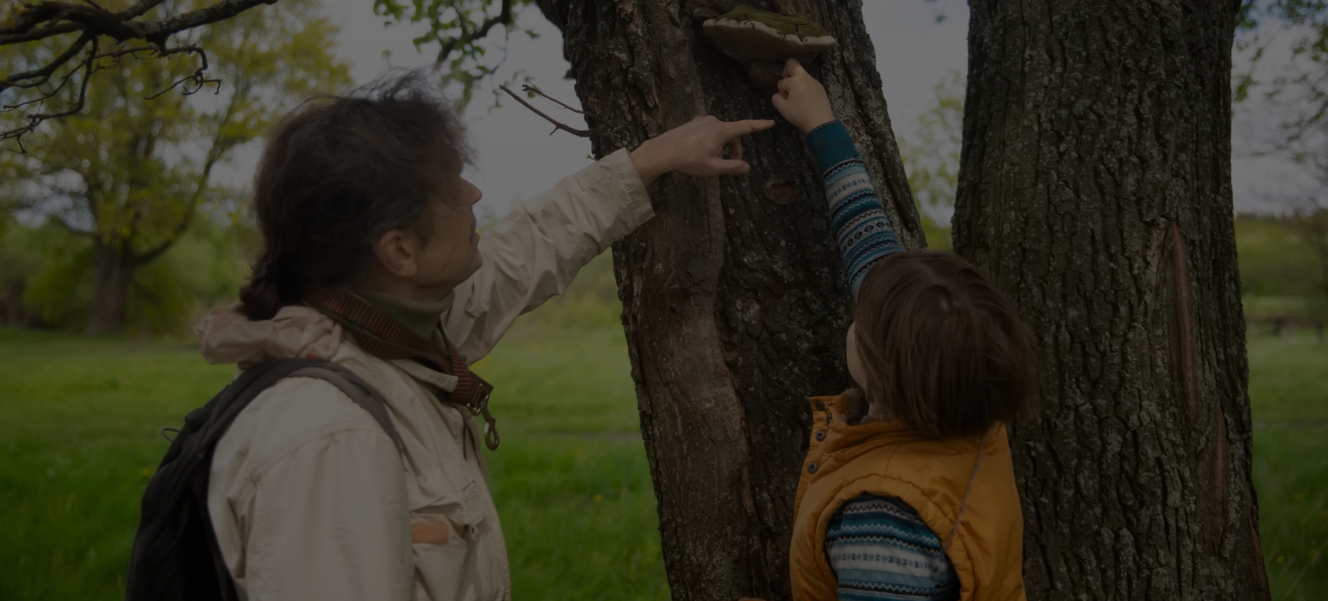 Two people collecting information from trees.