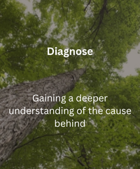 Diagnose