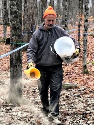 Paul Grinnell Paul Grinnell